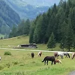 Apartmán Parkvilla *