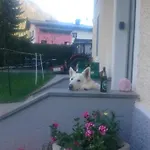 Parkvilla Apartmán Mallnitz