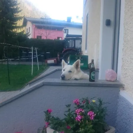 Parkvilla Apartment Mallnitz