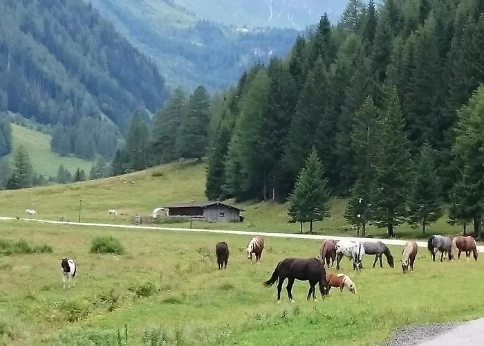 Apartamento Parkvilla *