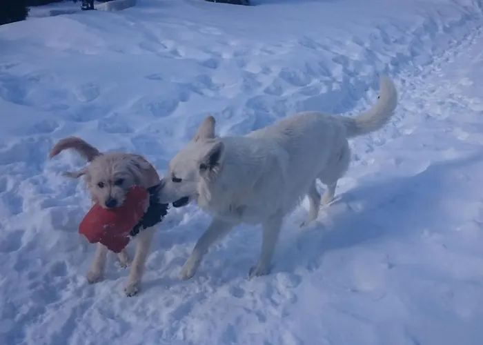 Parkvilla * Мальниц