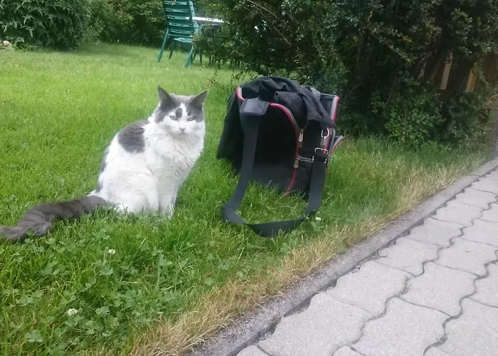 Apartamento Parkvilla