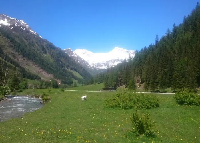 Parkvilla Апартаменты