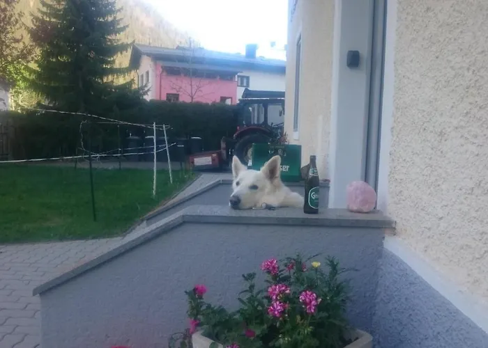 Parkvilla Apartamento Mallnitz